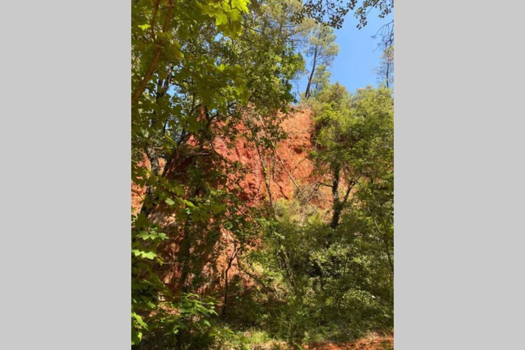 Eblouissant Appartement Au Calme D'Une Residence Avec Piscine Idealement Situe Au Pied Du Colorado Provencal Dans Le Prestigieux Luberon リュストレル エクステリア 写真